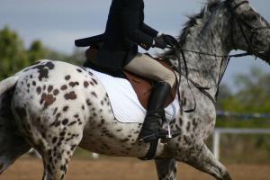 Bild-3833