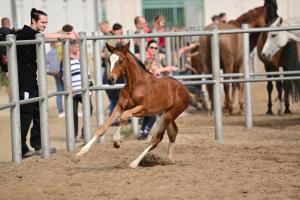 Bild-3834