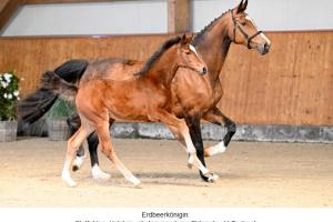 Bild-3846
