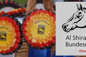 Bild-3852