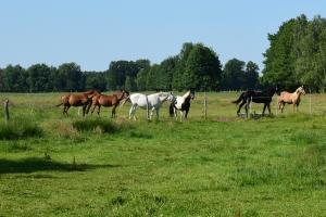 Bild-3862
