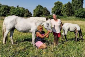 Bild-3874