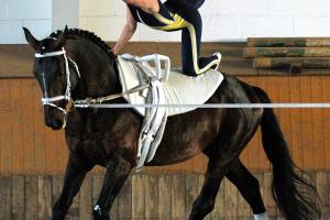 Bild-3945